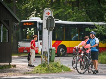 Zastávka Lesní hřbitov u Městských lesů v Hradci Králové